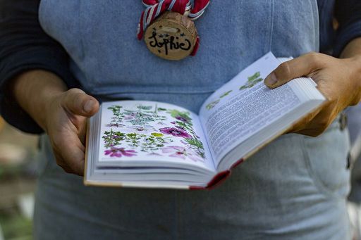 nature - livre - activité scoute