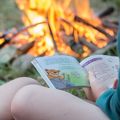 peda - feu - camps - activité scout - veilée