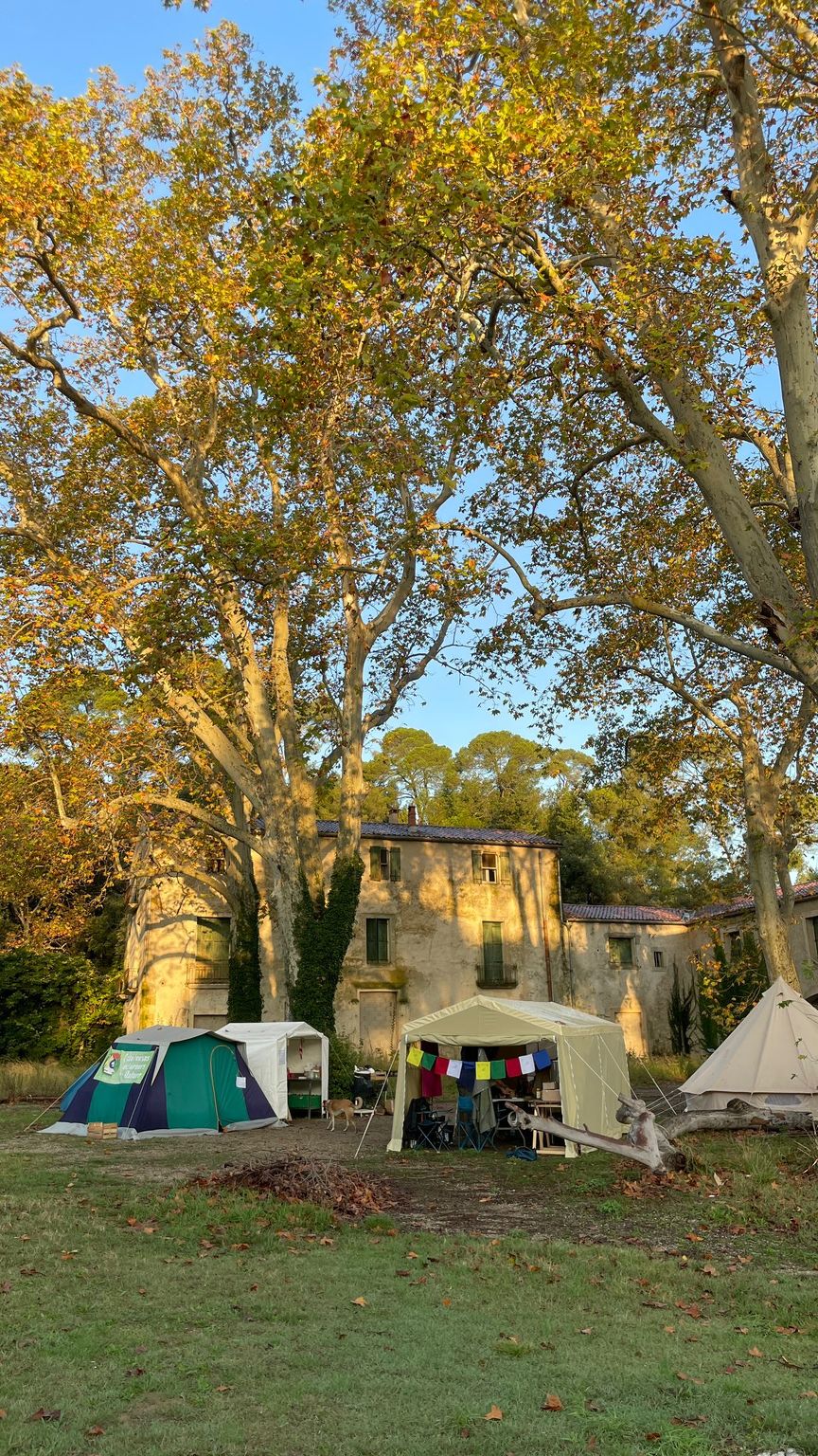 WhatsApp Image 2024-11-03 at 8.59.15 PM