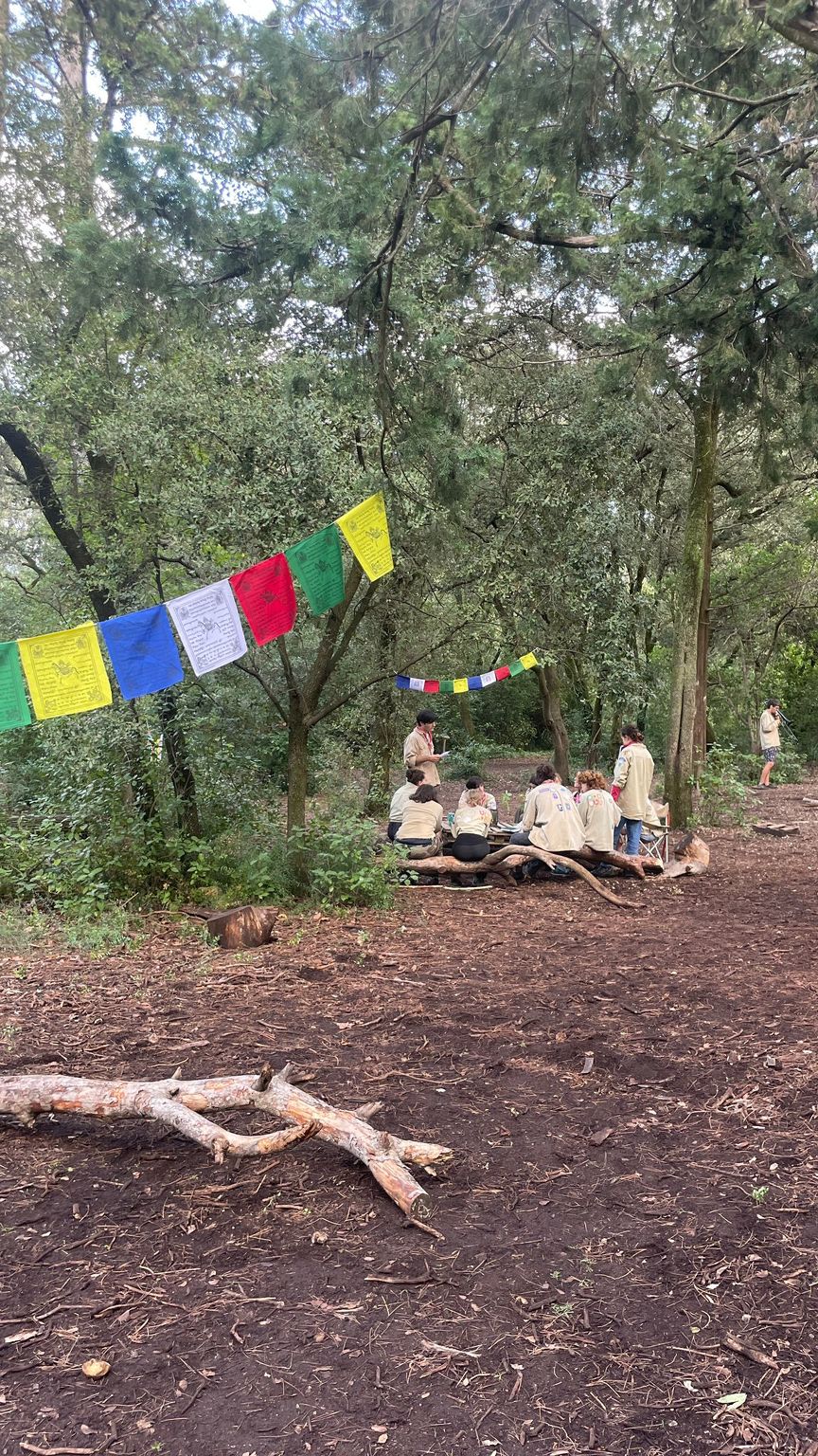 WhatsApp Image 2024-11-03 at 8.59.20 PM (1)