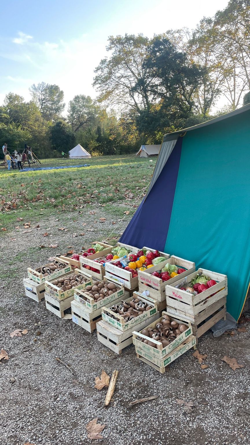 WhatsApp Image 2024-11-03 at 8.59.20 PM (2)