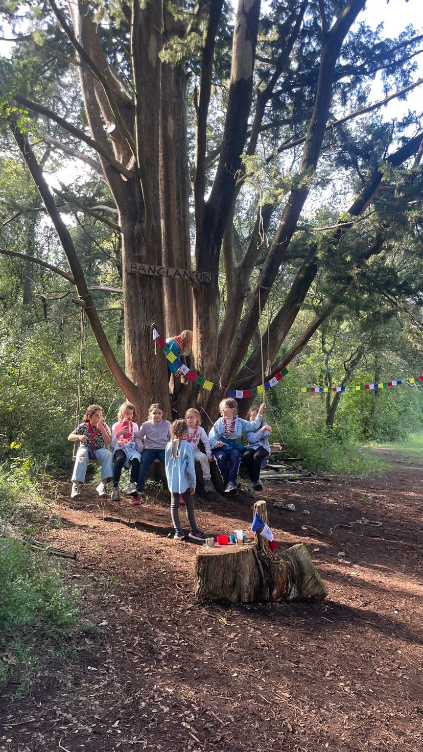 WhatsApp Image 2024-11-03 at 9.01.09 PM