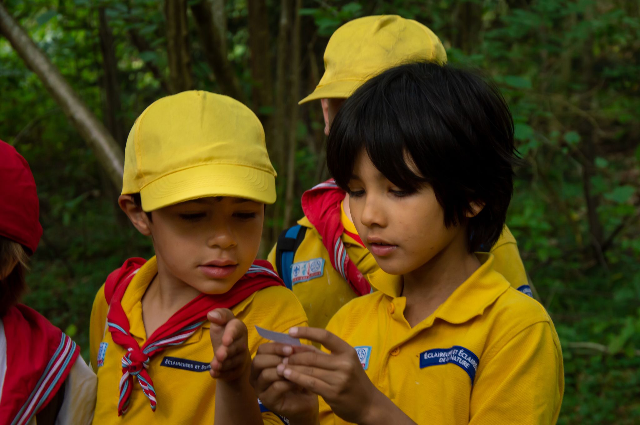 20220730102906-e5e86045