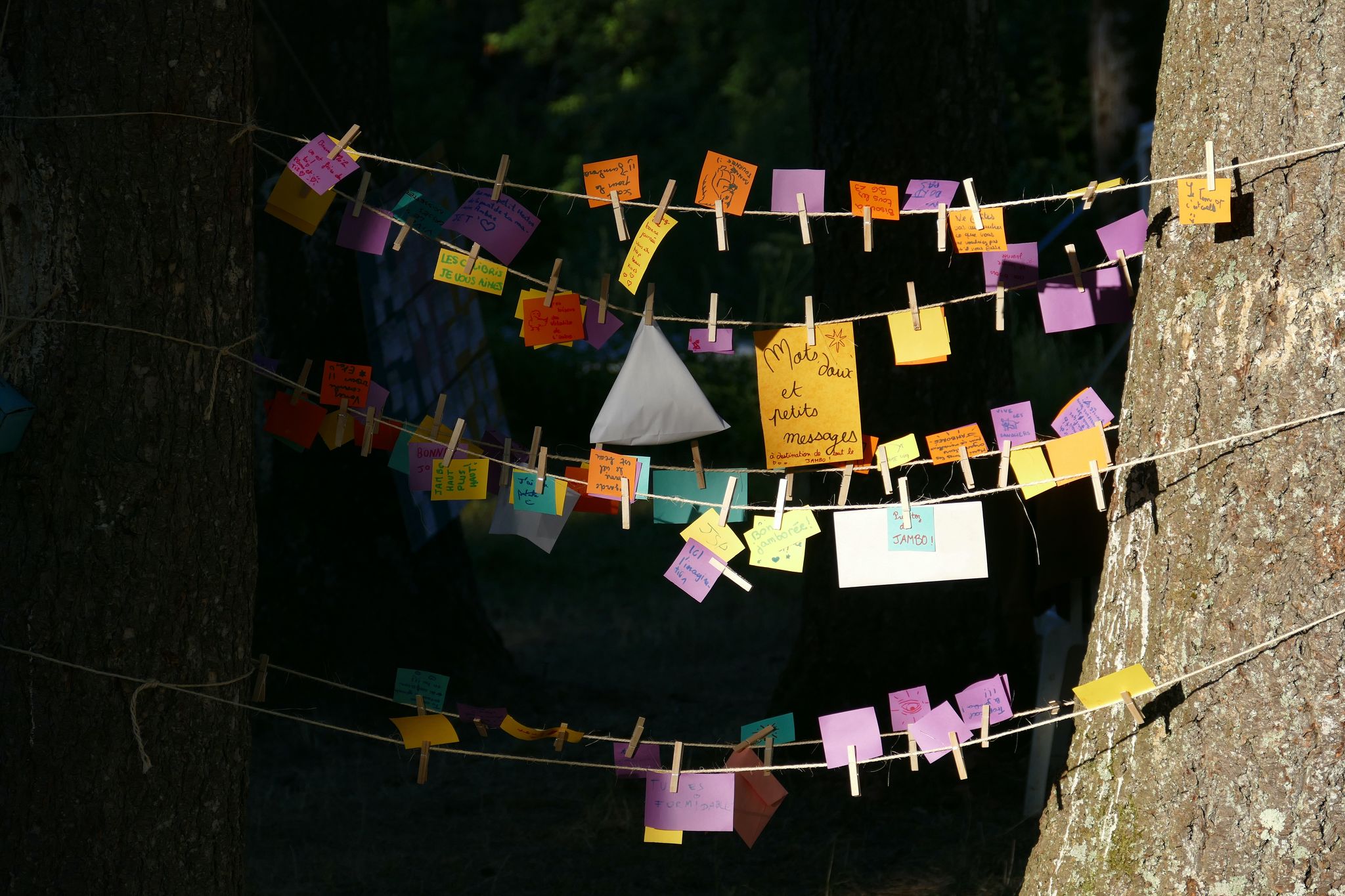 20220809130455-207f071d