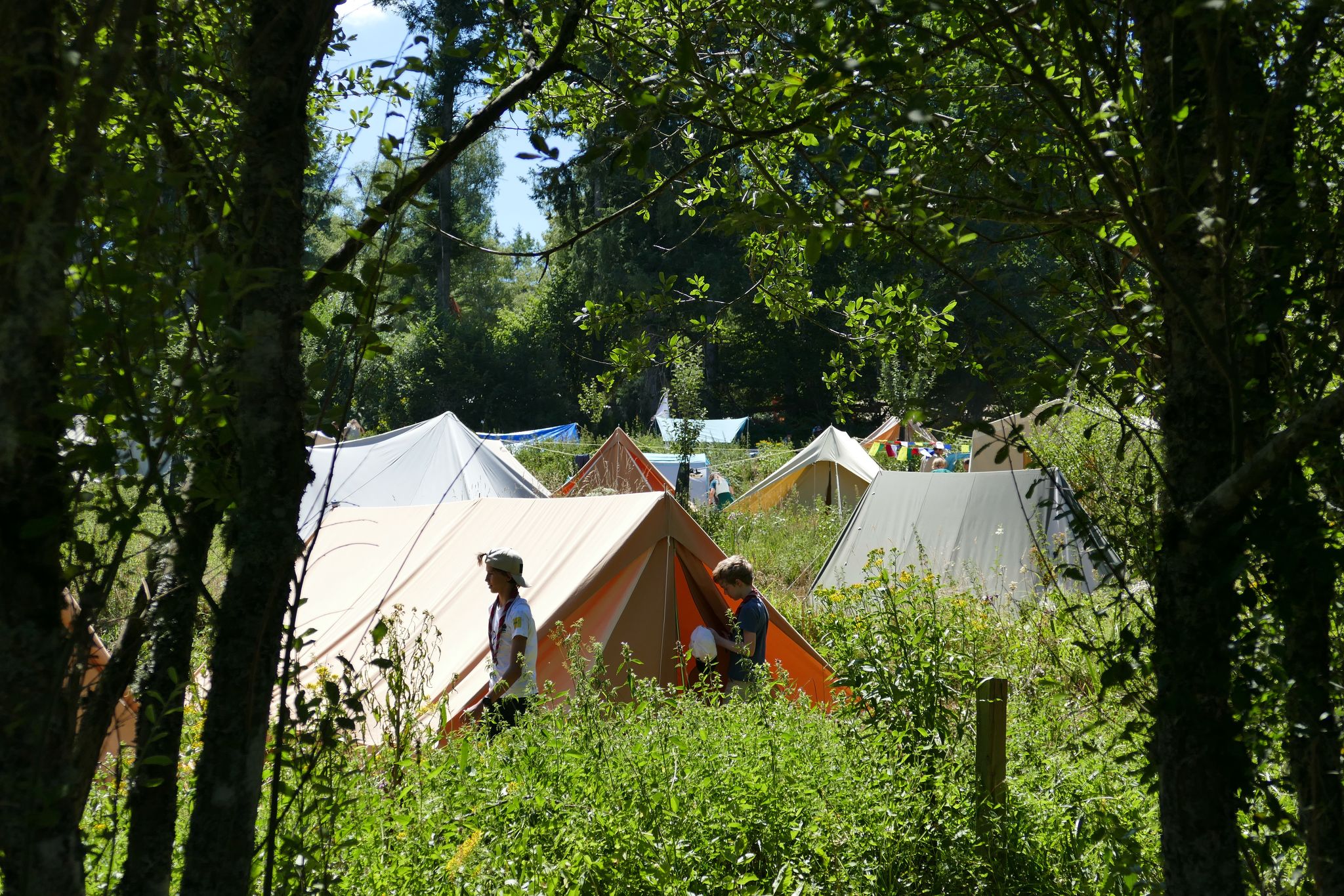 20220809140755-f251775c