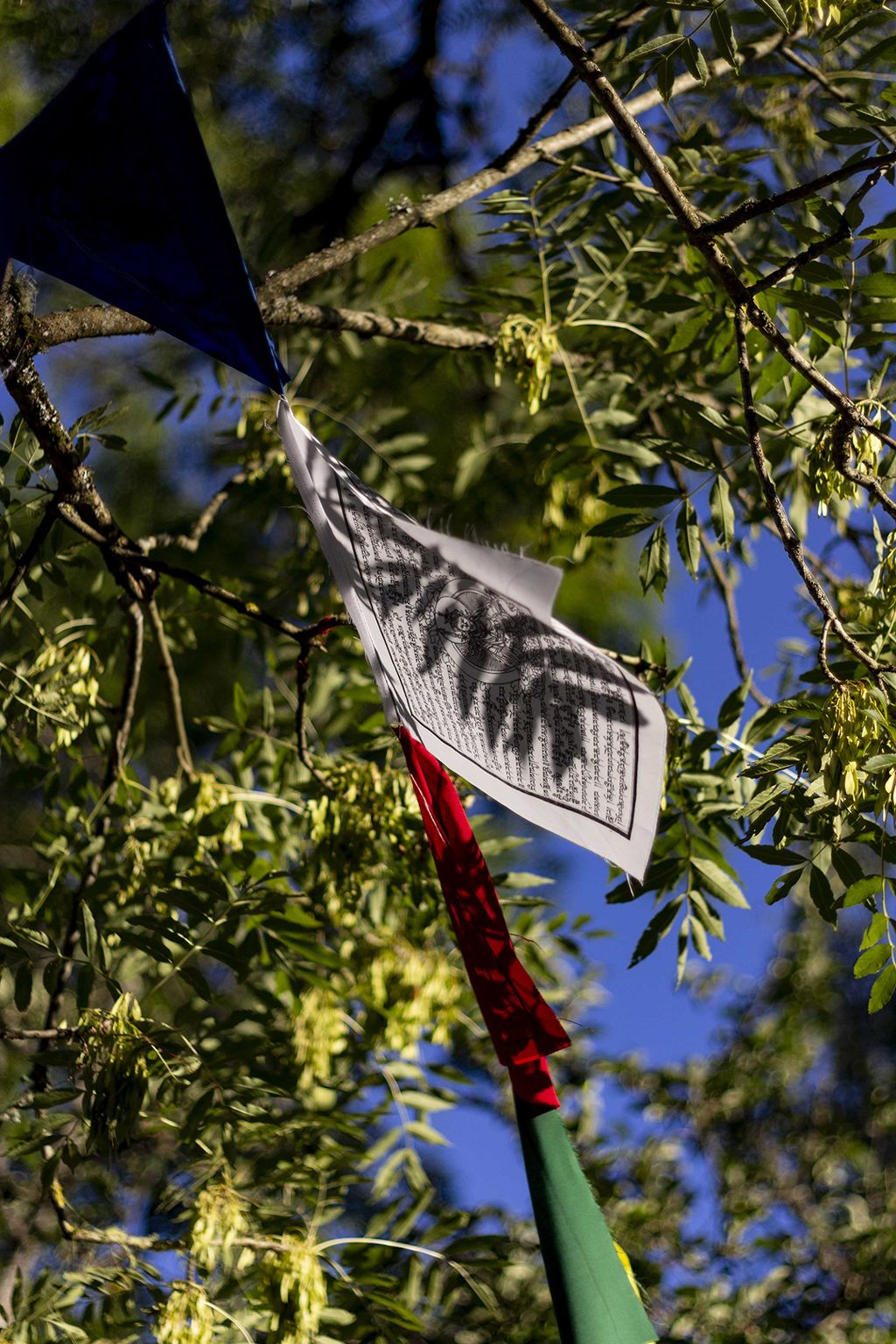 20220804120437-781c0ec7