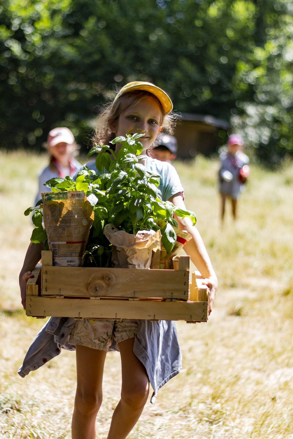 20220804122542-3593a4b1