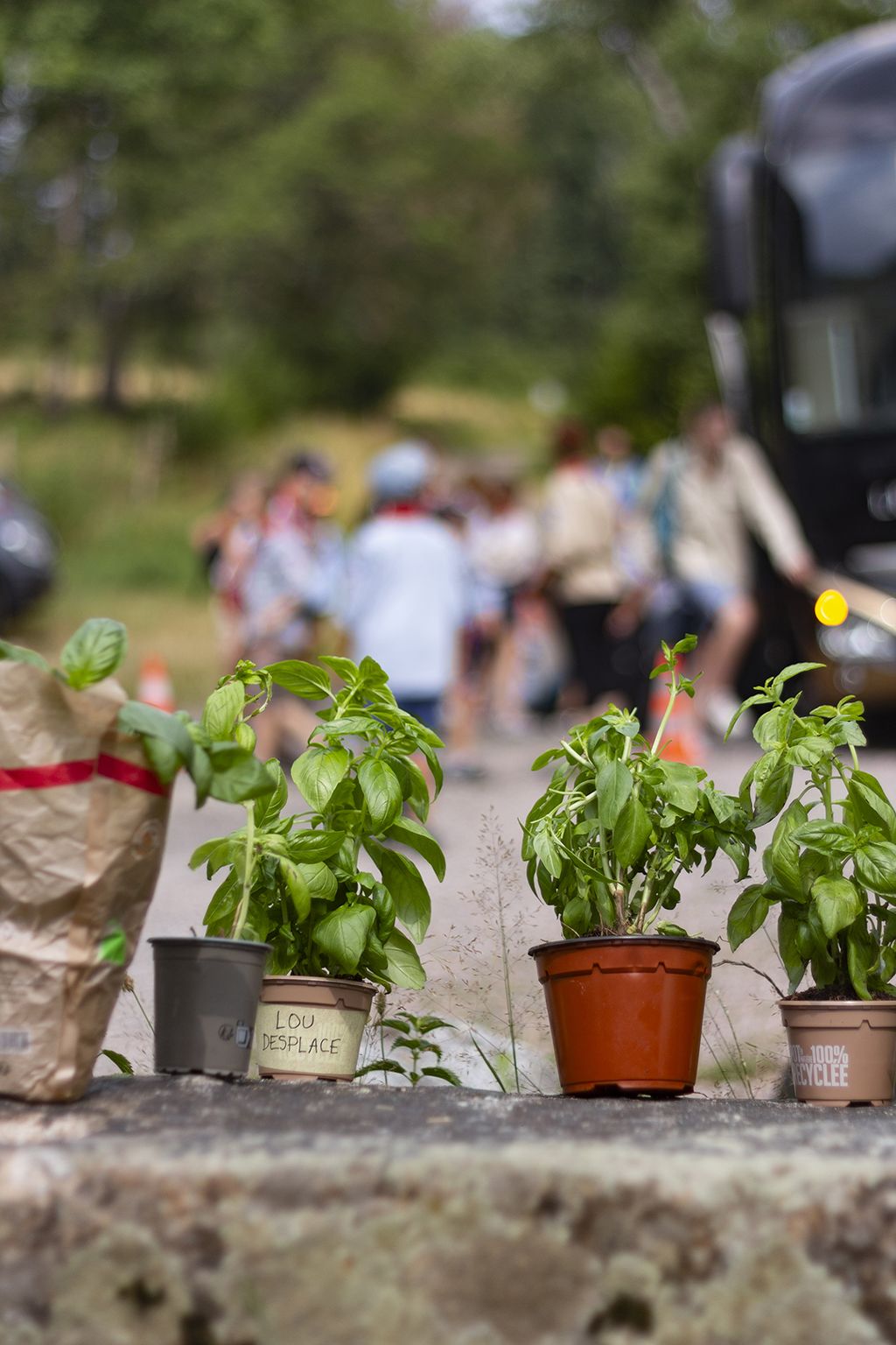 20220804150829-40b2b89d