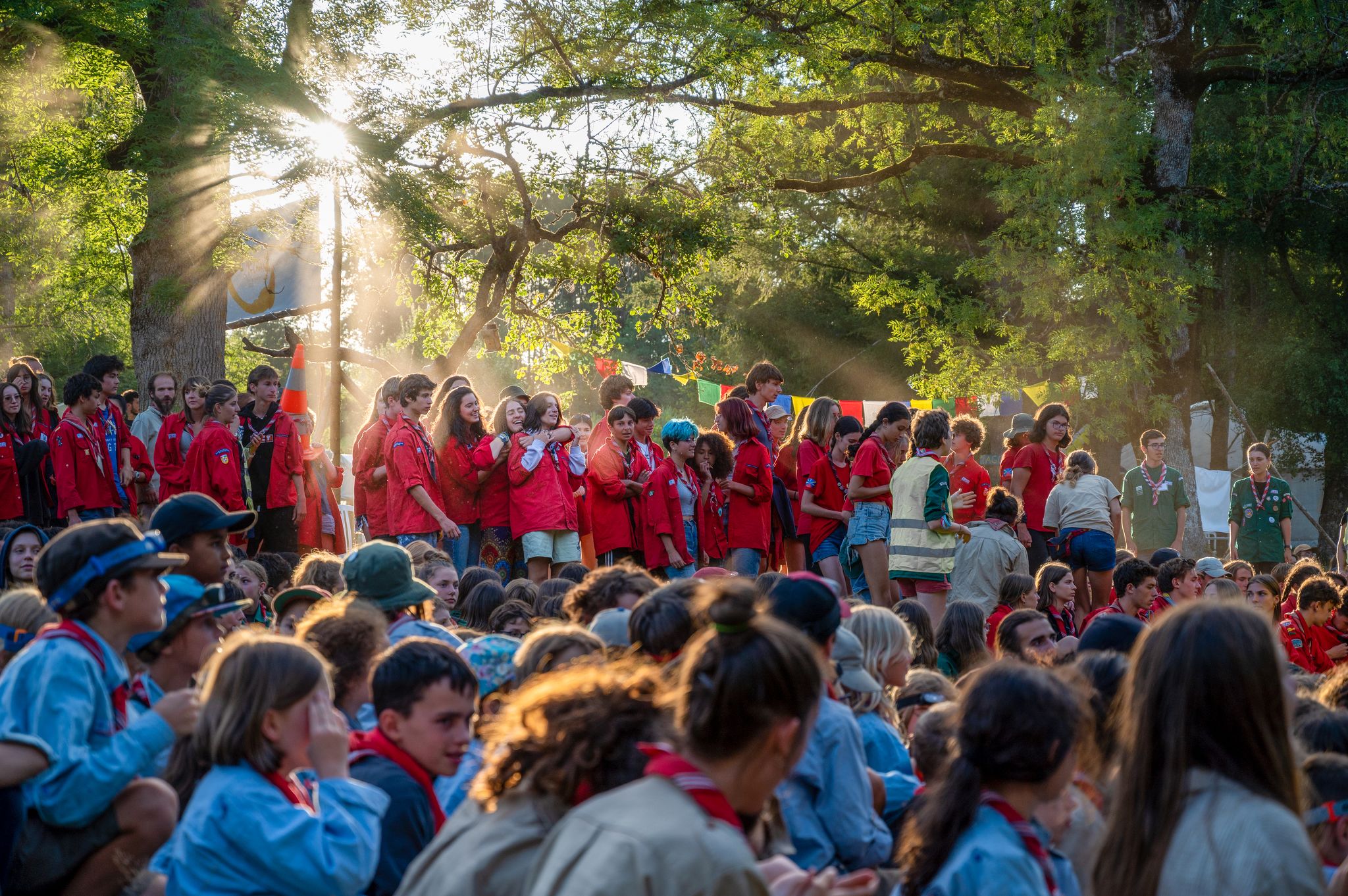 20220802175241-7ffd2ed4