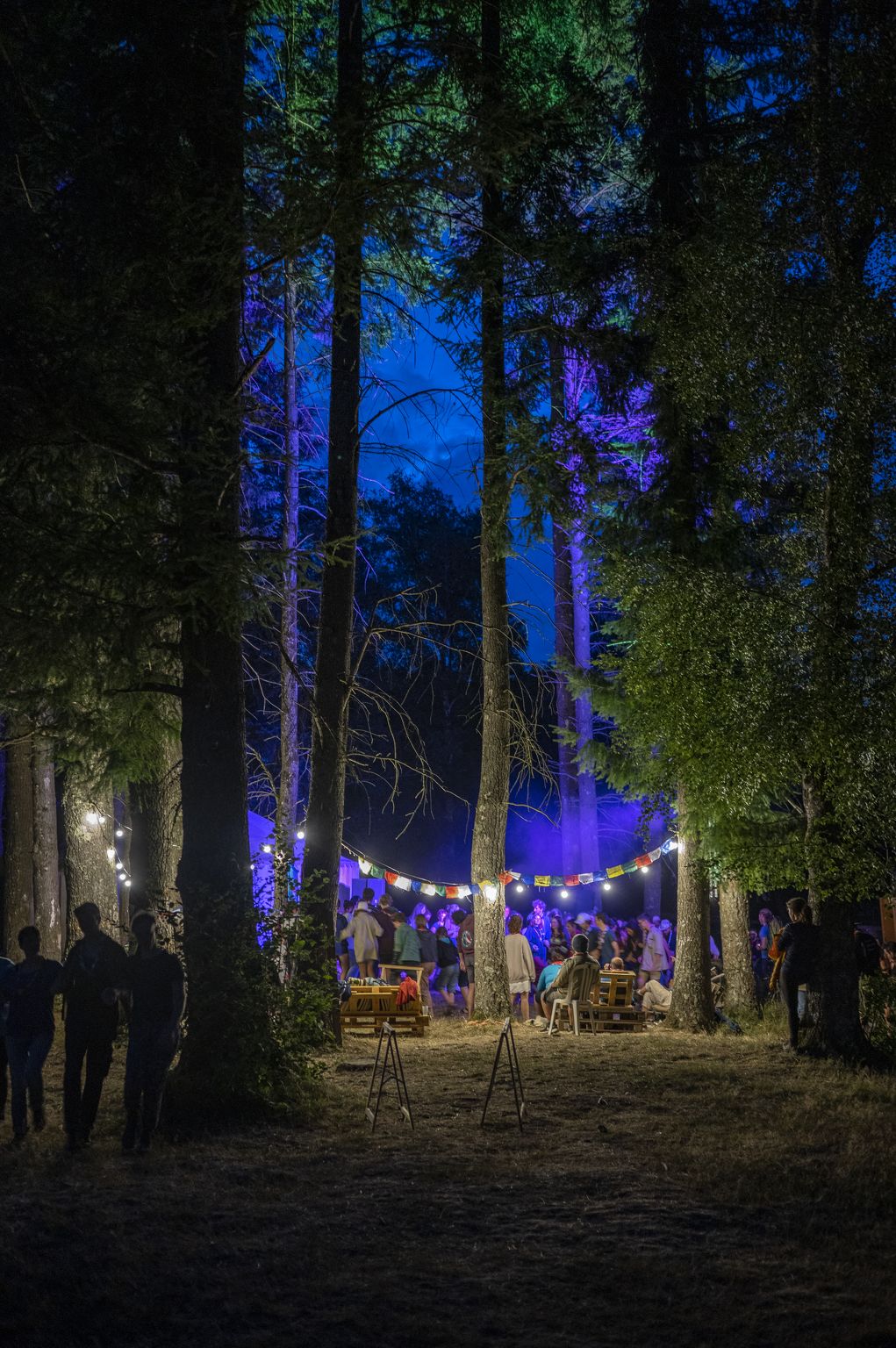 20220806131232-6cc26e71