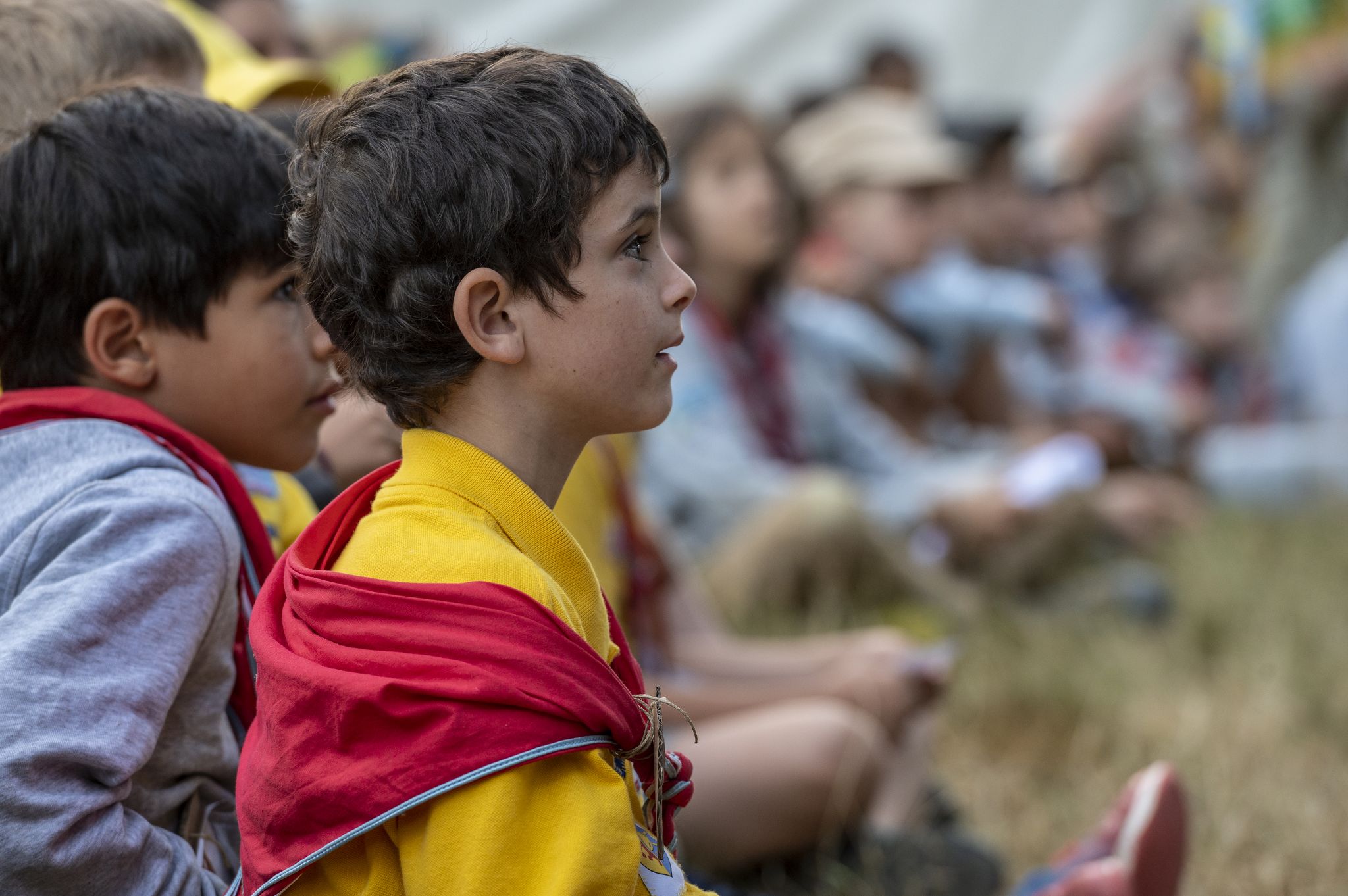 20220806143709-29a5bd08