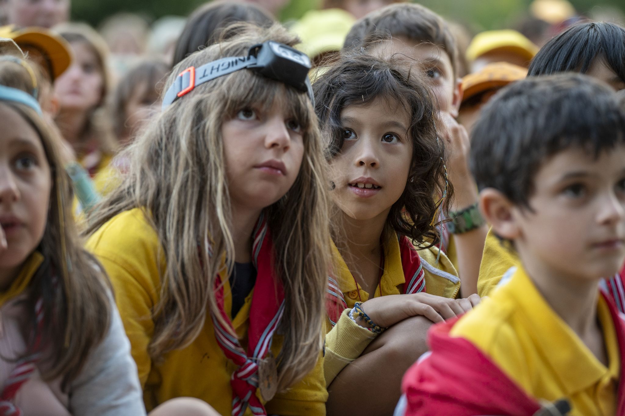 20220806144119-5d6dd10f