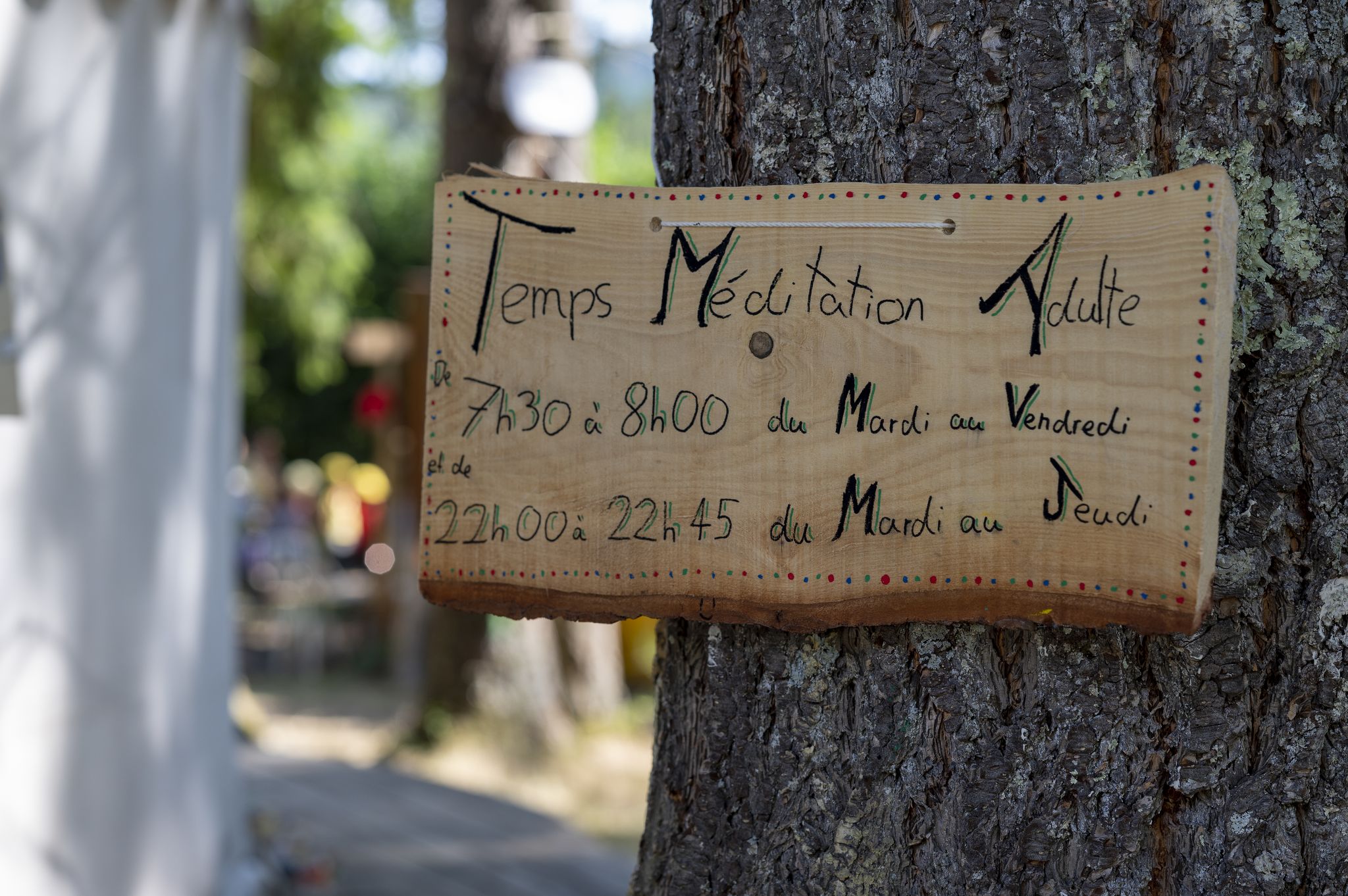 20220806202638-9f4201d3