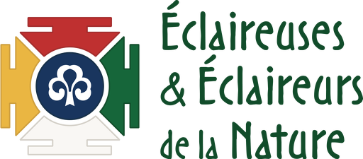 logo-edln-vert-Contouré - Monobloc - Vert contour logo
