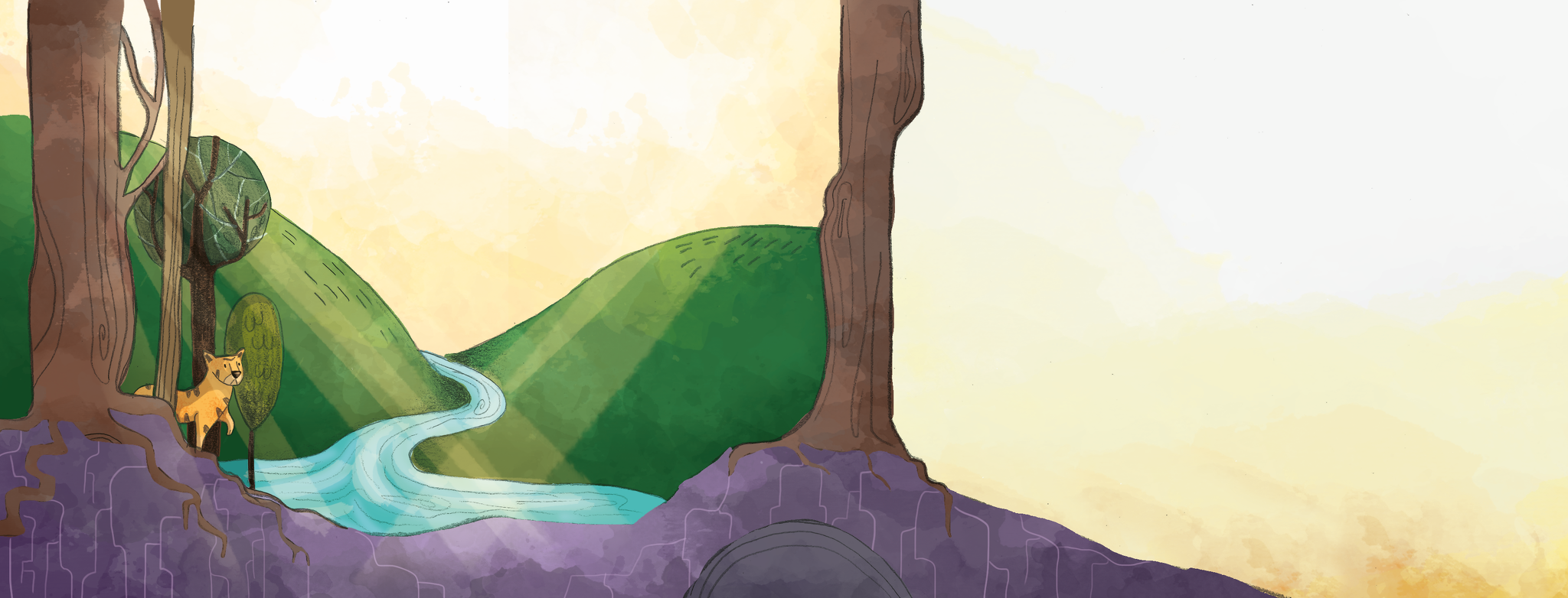 illustration animaux3