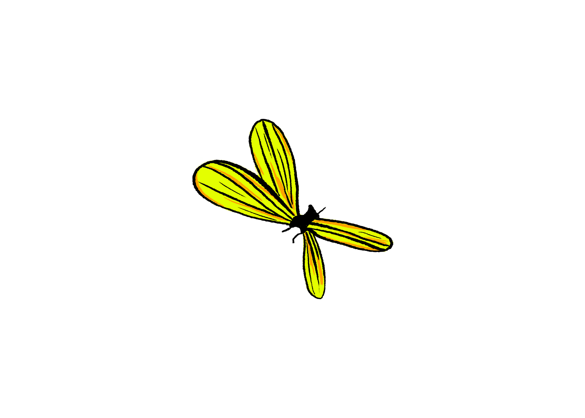 papillon jaune