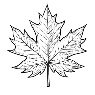 feuille - Montre cette photo