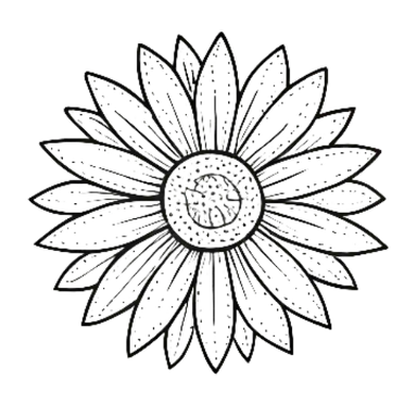 fleur soleil - Montre cette photo