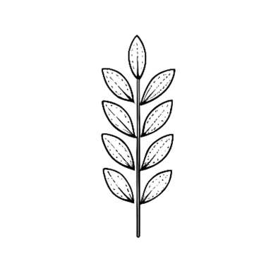 plante - Montre cette photo