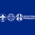 logo scoutsime francais fond bleu marine