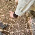 IMG 4752