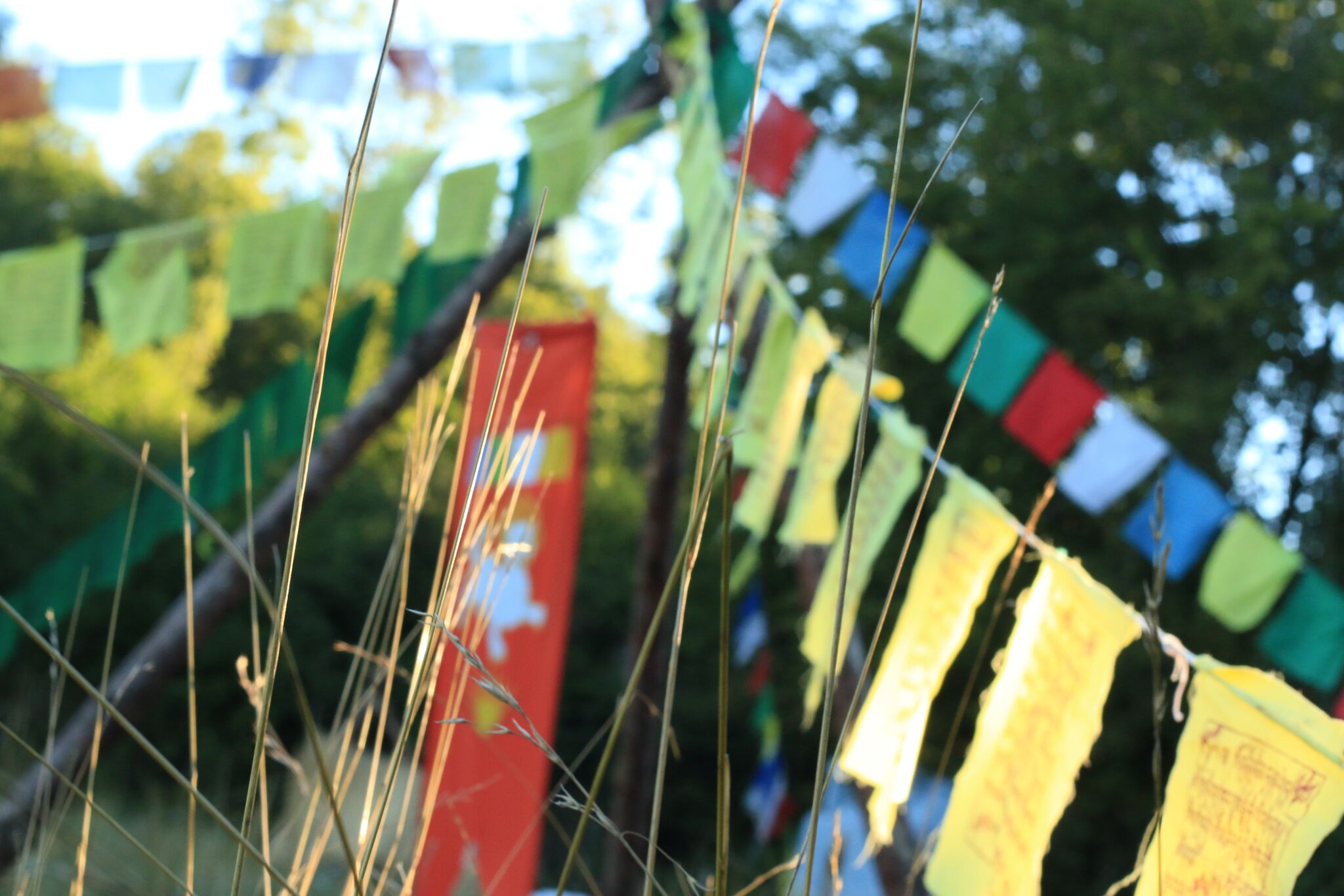 edln drapeaux camps nature