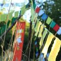 edln drapeaux camps nature