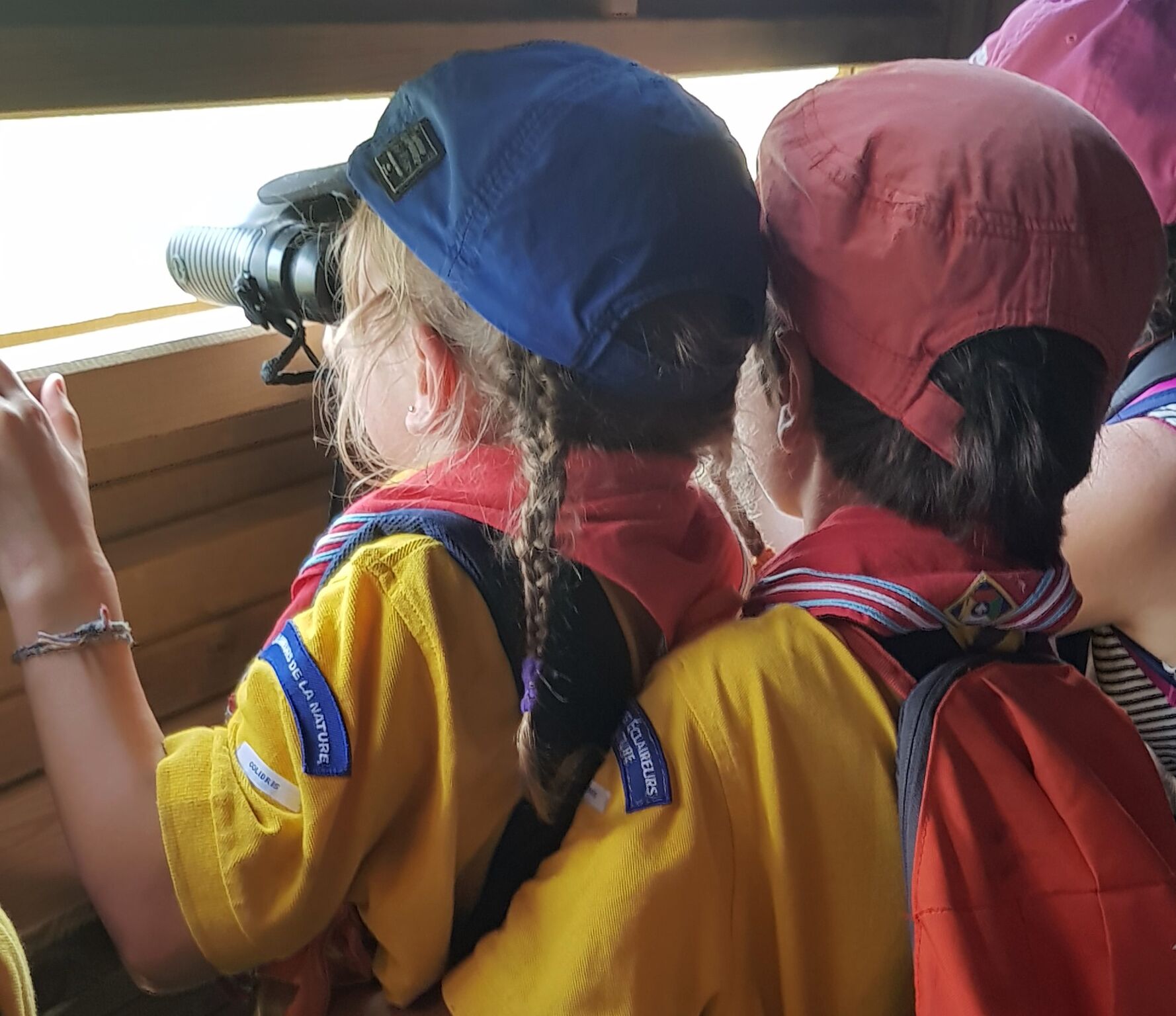 edln colibris jumelles nature