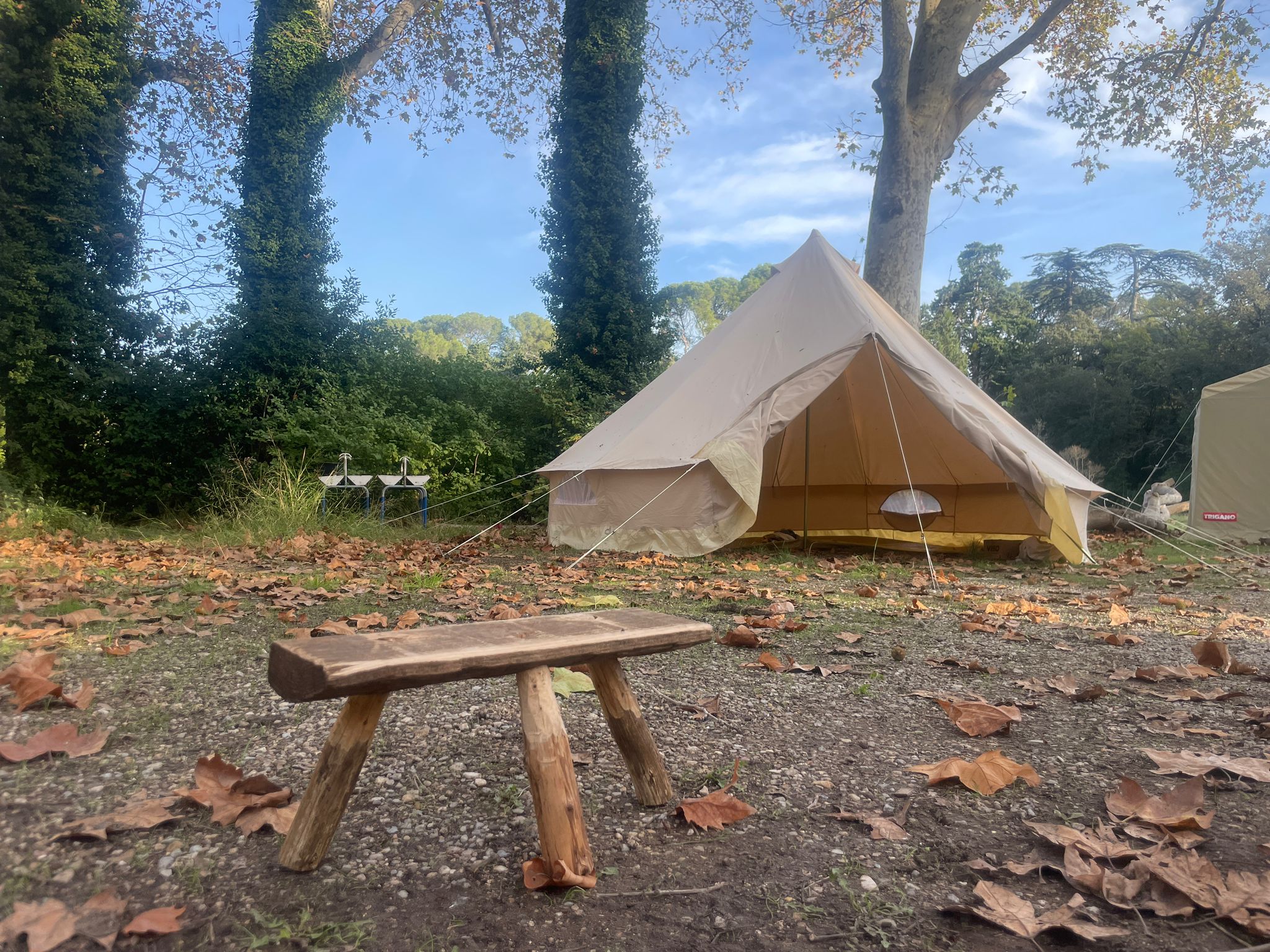 WhatsApp Image 2024-11-03 at 9.01.09 PM (1)