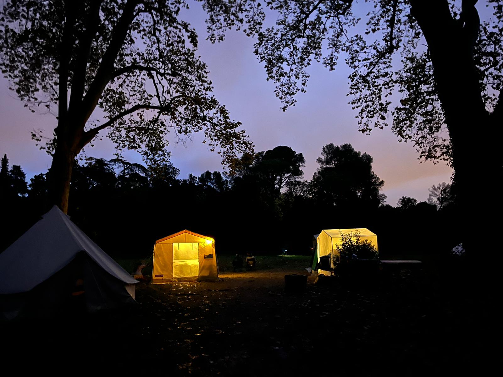 WhatsApp Image 2024-11-04 at 8.23.29 AM (2)