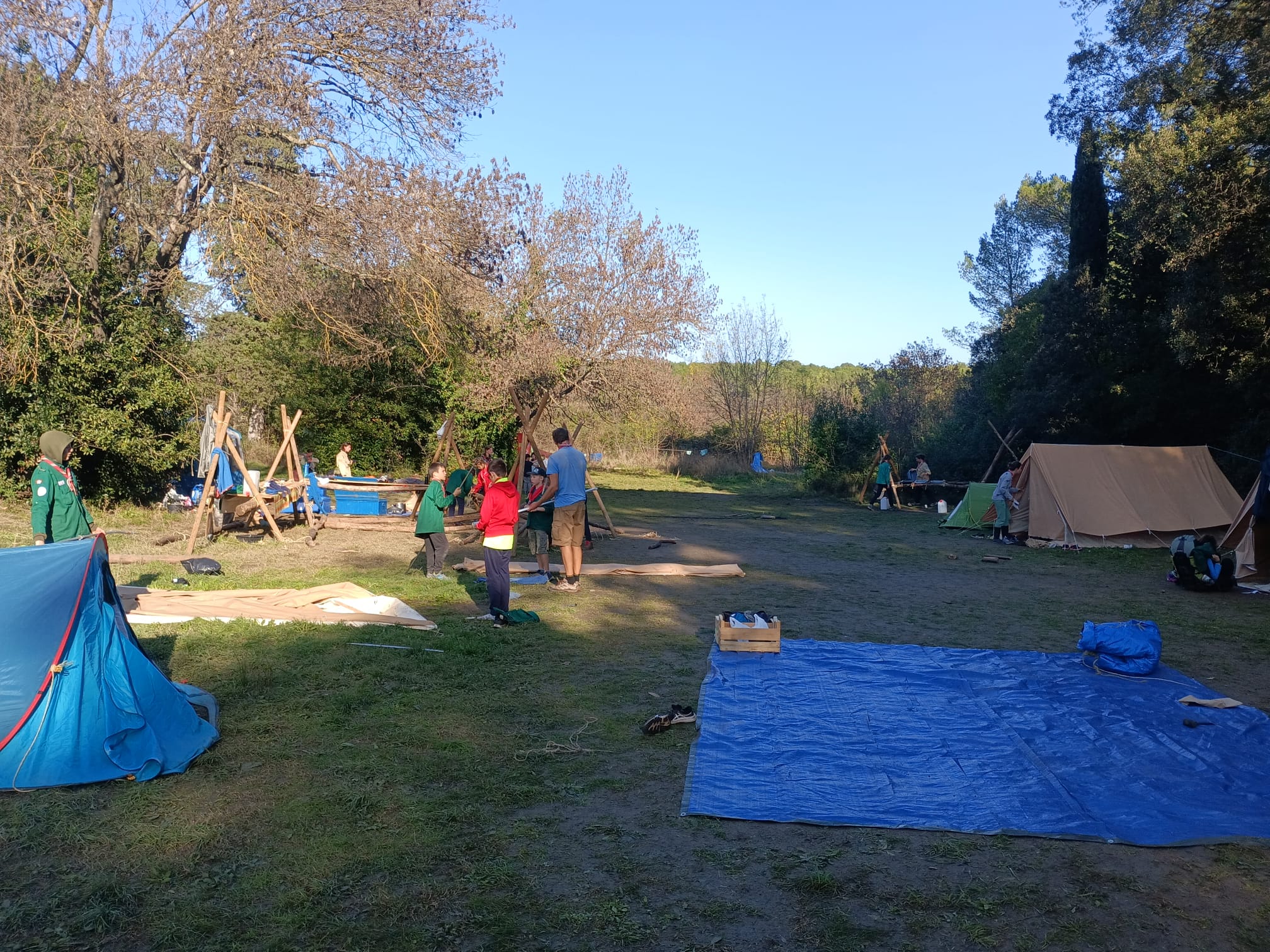 WhatsApp Image 2024-11-04 at 8.25.07 AM