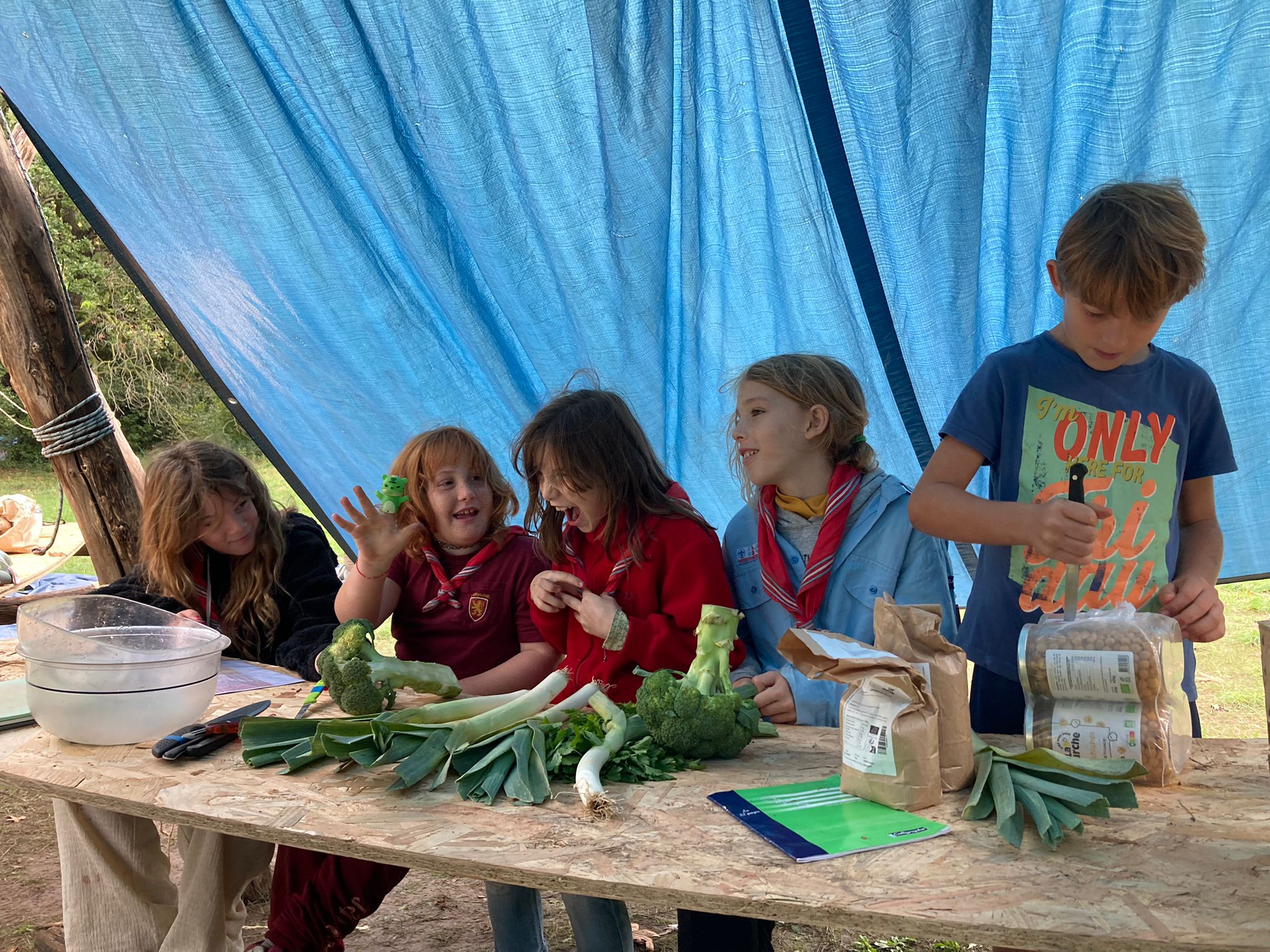 WhatsApp Image 2024-11-11 at 10.32.22 af9a6a1b