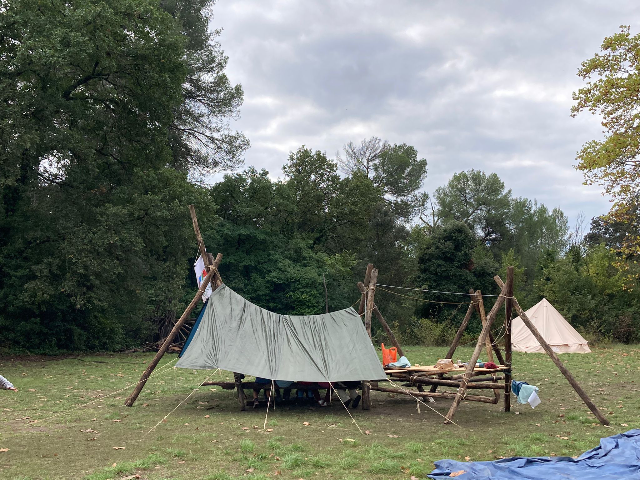 WhatsApp Image 2024-11-11 at 10.32.22 b6b6eaf9