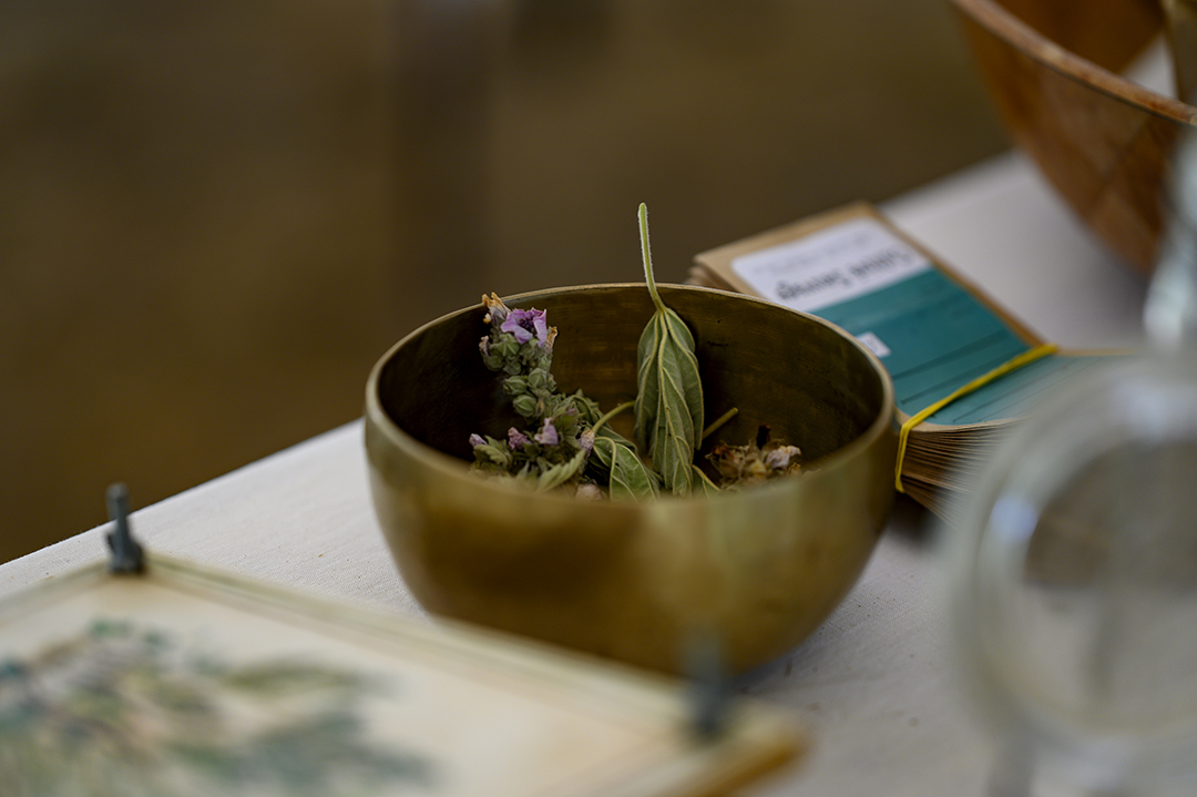 20220804111522-c11b690e