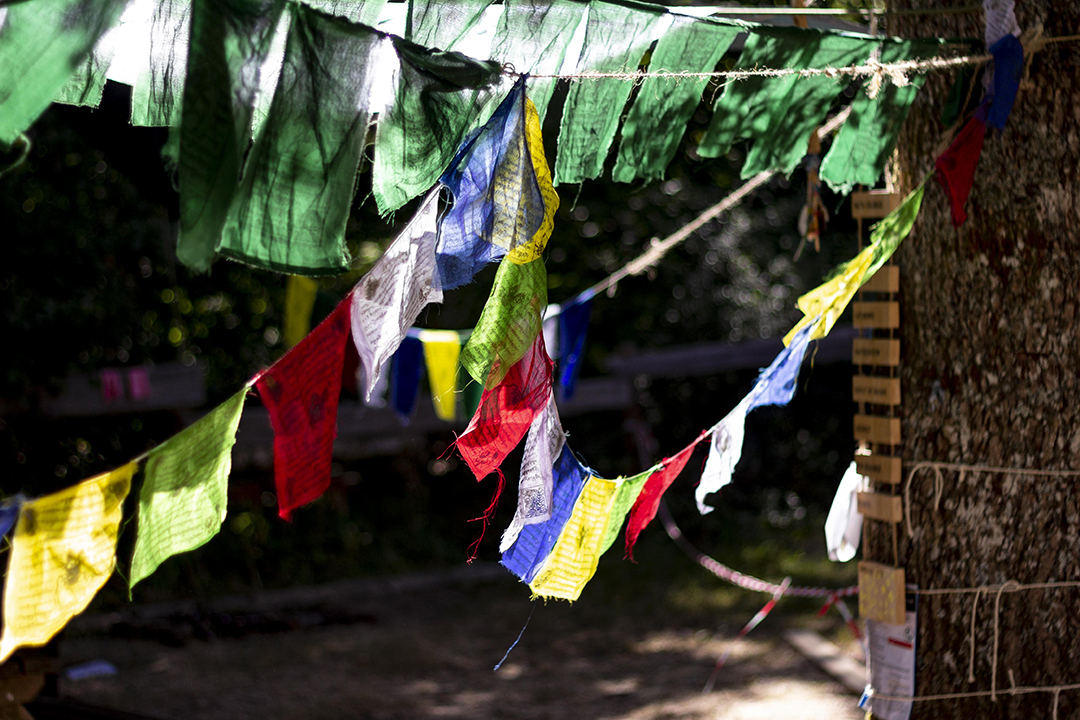 20220804113241-a4e95d16