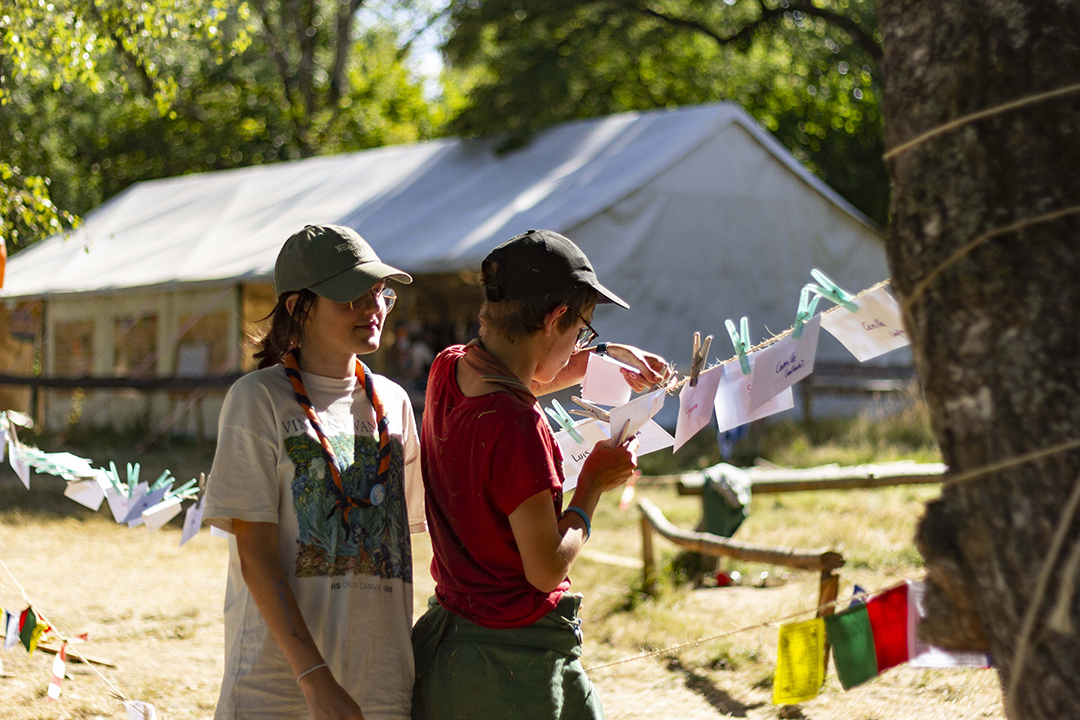 20220804114206-17a601f6