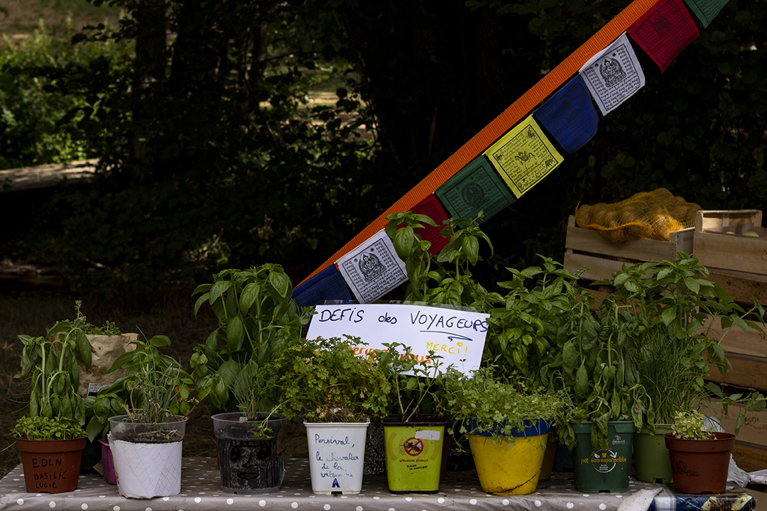 20220804115819-ede29dd0