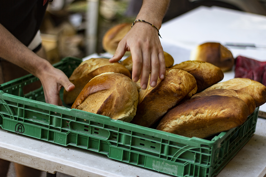 20220804120018-d75d8aad