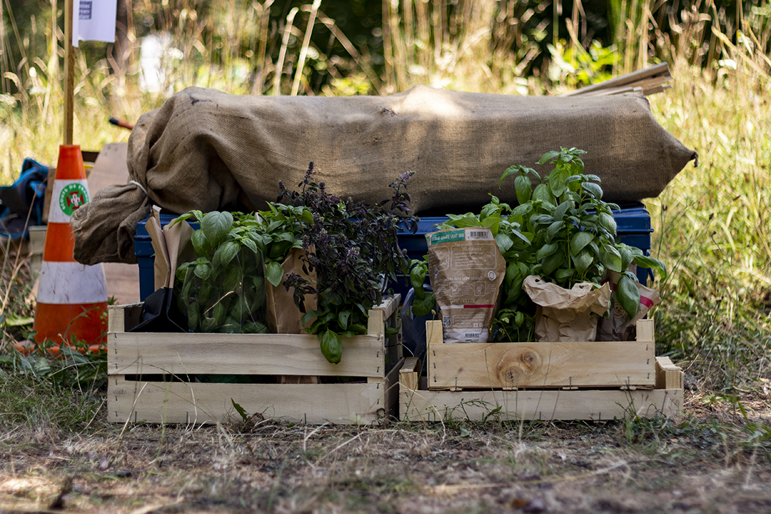 20220804122702-cc39288c