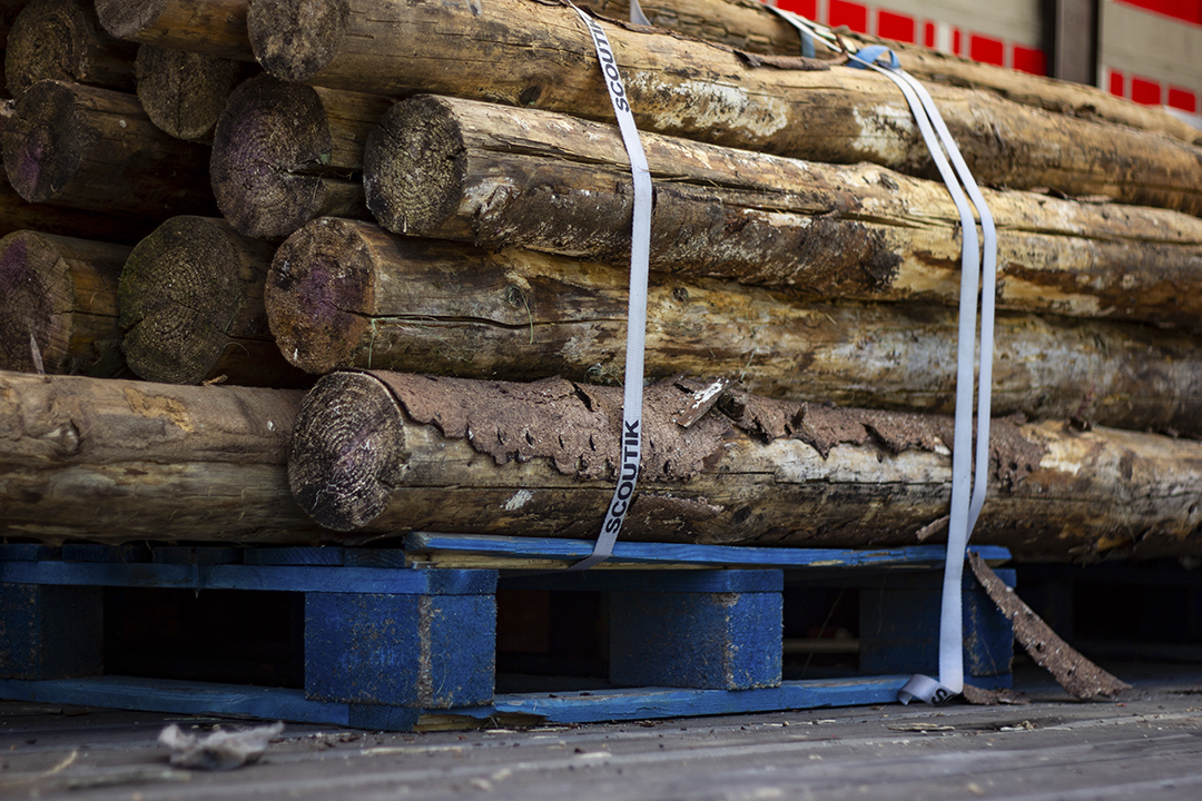 20220804161139-ce6d3f22