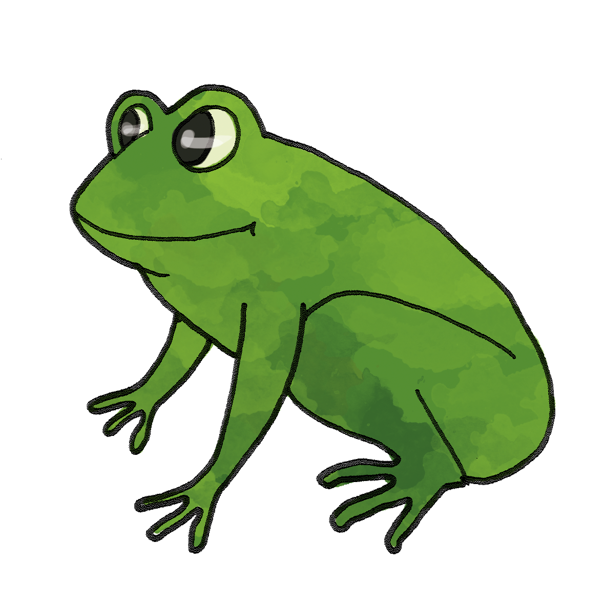 grenouille